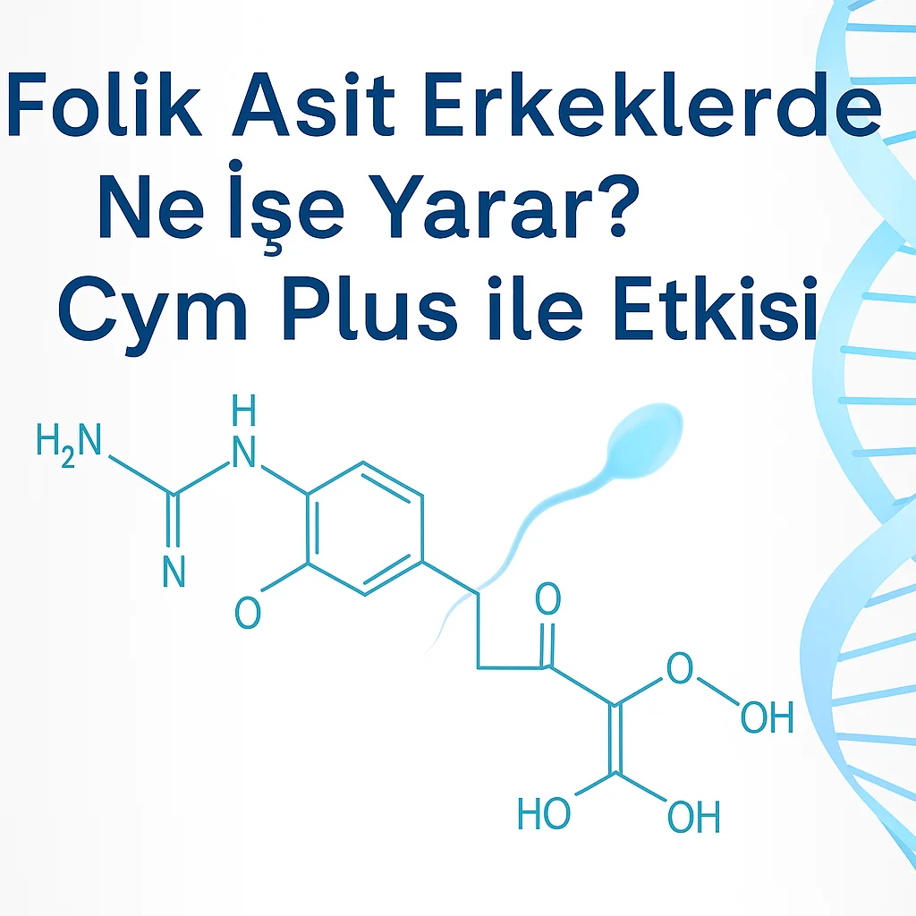 Folik Asit Erkeklerde Ne İşe Yarar? | Erkeklerde Sperm Kalitesini Artırır