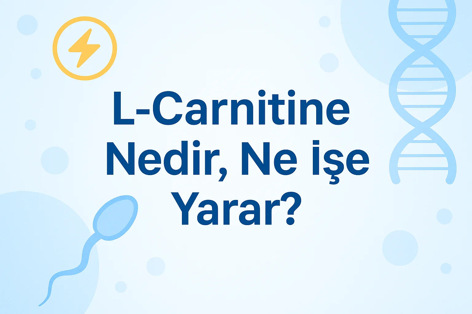 L-Carnitine Nedir, Ne İşe Yarar? | Sperme Faydaları, Kullanımı
